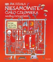 Jak działa niesamowite ciało człowieka według mózgofalek
