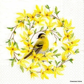 Serwetki Paw Forsythia&Bird - różnokolorowy 330 mm x 330 mm (SDL121800)