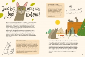 Skąd przyszedł kot? - Dorota Sumińska