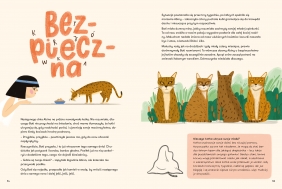 Skąd przyszedł kot? - Dorota Sumińska