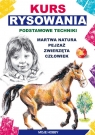 Kurs rysowania. Podstawowe techniki