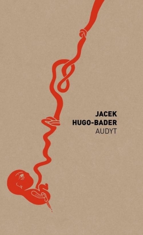 Audyt - Hugo-Bader Jacek