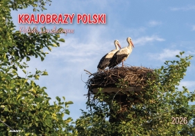 Kalendarz albumowy 2026 - Krajobrazy Polski
