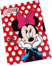 Pamiętnik z zamkiem Minnie