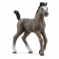 Schleich, Źrebak Rasy Cheval de Selle Francais (SLH13957)