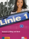 Linie 1 B1 Deutsch in Alltag und Beruf Lehrerhandbuch Katja Wirth