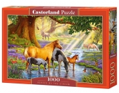 Puzzle Horses By The Stream 1000 (C-103737)