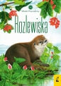 Młodzi przyrodnicy. Rozlewiska. Tom 13 - Patrycja Zarawska