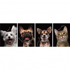 Brulion Herlitz Crazy Animal A6/80k kratka, 1 szt