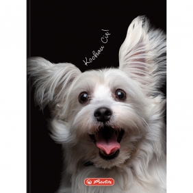 Brulion Herlitz Crazy Animal A6/80k kratka, 1 szt