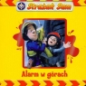 Alarm w górach