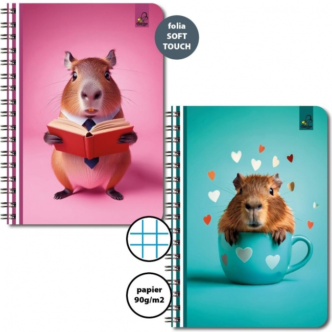 <img src='https://webimage.pl/pics/738/3/d5906893613738.jpg'>