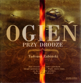 Ogień przy drodze - Tadeusz Zubiński