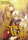 Spice and Wolf. Tom 3 Keito Koume