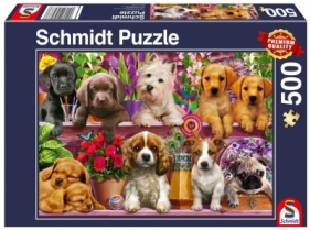 Puzzle PQ 500 Psy na półce G3 - Opracowanie zbiorowe