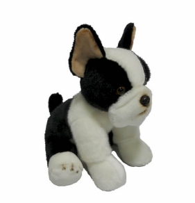 Smily Play, pluszak pies Boston Terrier (84404BS)