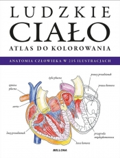 Ludzkie ciało. Atlas do kolorowania - Opracowanie zbiorowe
