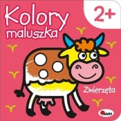 Zwierzęta. Kolory maluszka - Piotr Kozera