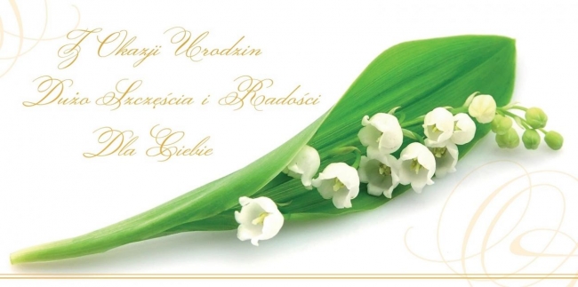 <img src='https://webimage.pl/pics/740/3/d5907582653011.jpg'>