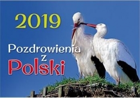 Kalendarz 2019 Ścienny - Pozdrowienia z Polski