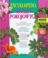 Encyklopedia roślin pokojowych