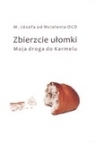 Zbierzcie ułomki. moja droga do Karmelu M. Józefa od Wcielenia OCD