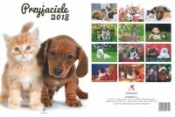 Kalendarz B4 Przyjaciele kolor 2018