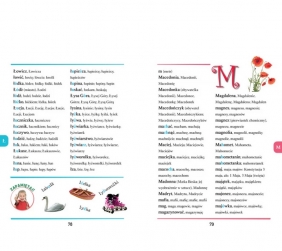 Słownik ortograficzny dla uczniów szkoły podstawowej. 4000 haseł i nowe zasady ortograficzne - Opracowanie zbiorowe