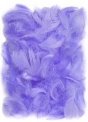 Piórka 5-12 cm, 10 g lilac (fioletowe) (CEPI-019)
