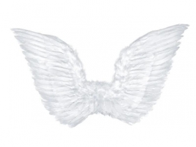 Skrzydła anioła 75x45cm