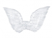 Skrzydła anioła 75x45cm
