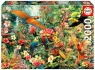 Puzzle Ptaki Amazonii 2000 el 114112 14 +