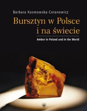 Bursztyn w Polsce i na świecie - Kosmowska-Ceranowicz Barbara