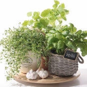 Serwetki SDL874000 Flavour of Herbs