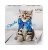 Kalendarz kociaki lux 2026
