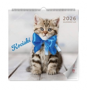 Kalendarz kociaki lux 2026