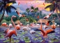 Ravensburger, Puzzle 1000: Flamingi (12000574)