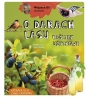Wojciech Gil opowiada o darach lasu. Rośliny użytkowe - Wojciech Gil