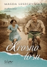  Krosno losu
