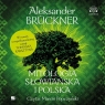Mitologia słowiańska i polska Audiobook Aleksander Brückner