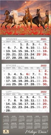 Kalendarz 2022 trójdzielny Premium Konie
