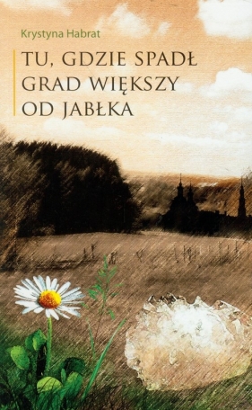 Tu, gdzie spadł grad większy od jabłka - Habrat Krystyna
