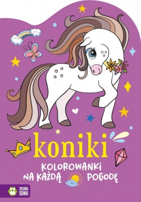 Koniki. Kolorowanki na każdą pogodę