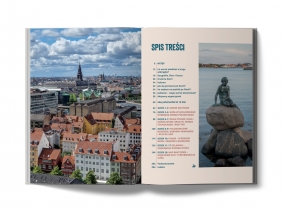 Dania. Kraj wikingów, hygge i wiatru w 18 dni - Mateusz Gieroń .