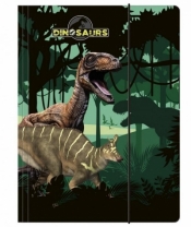 Teczka z gumką A4 Dinozaury (TGA4DN15)