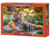 Puzzle Sumatran Tiger 500 (B-52745)