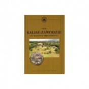 Gród Kalisz-Zawodziewe we wczesnym średniowieczu - Dorota Cyngot, Tadeusz Baranowski