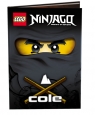 Lego Ninjago Cole LNR3