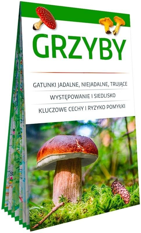 <img src='https://webimage.pl/pics/745/8/d9788383558745.jpg' style='height:440px' /> Grzyby. Poręczny, laminowany miniprzewodnik