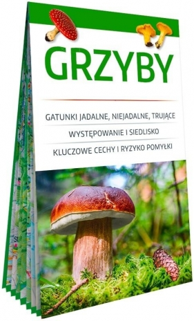 Grzyby. Poręczny, laminowany miniprzewodnik - Wiesław Kamiński